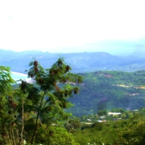 p1040272