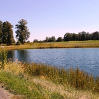 img_3825 img_3825