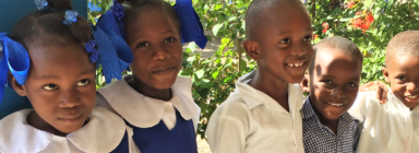 Partnering with Established Schools